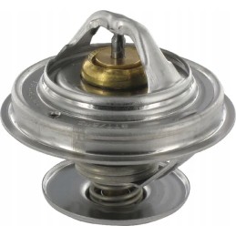 Case Steyr thermostat
