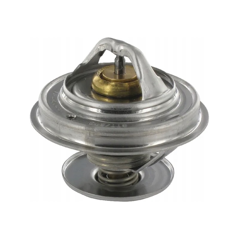 Case Steyr thermostat