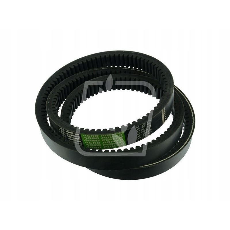 Massey Ferguson toothed belt 38x2594 905920m1