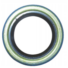 Shaft seal tecumseh 25 4x38 1x6