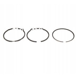 A set of engine piston rings, nominal 107