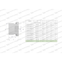 Hydraulic plug meter Allen key M33x2 ed 2 pcs
