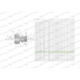 Hydraulic connector AB M36x2 M30x2 Warynski
