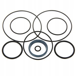 F 319 Bizon gear pump seal set