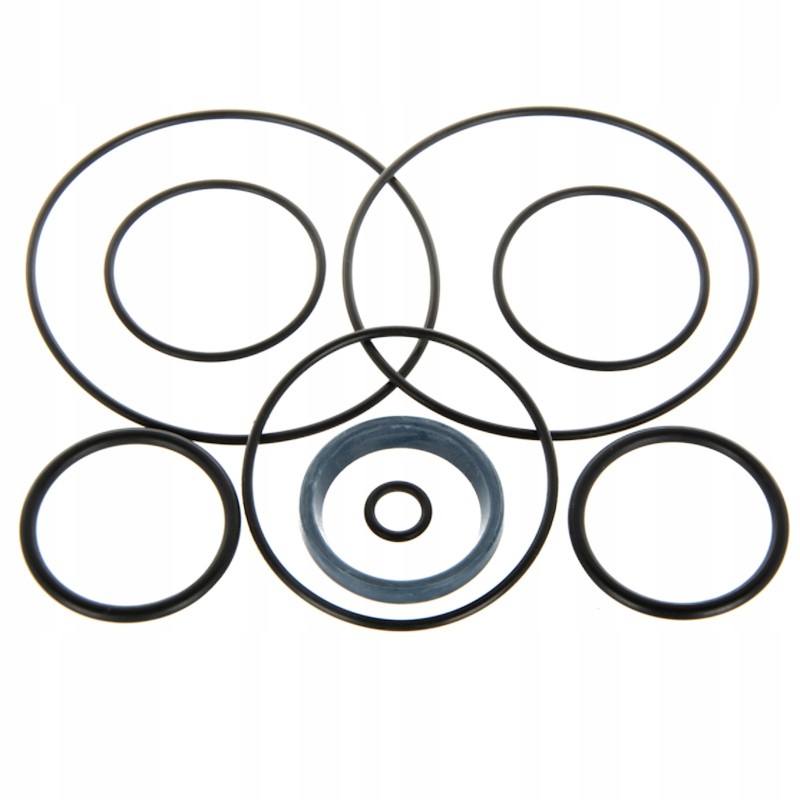 F 319 Bizon gear pump seal set