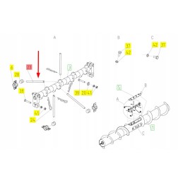 100080902 header snail finger