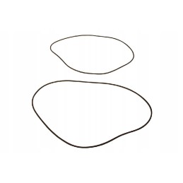 Vpj7355 sealing ring for the pump ring