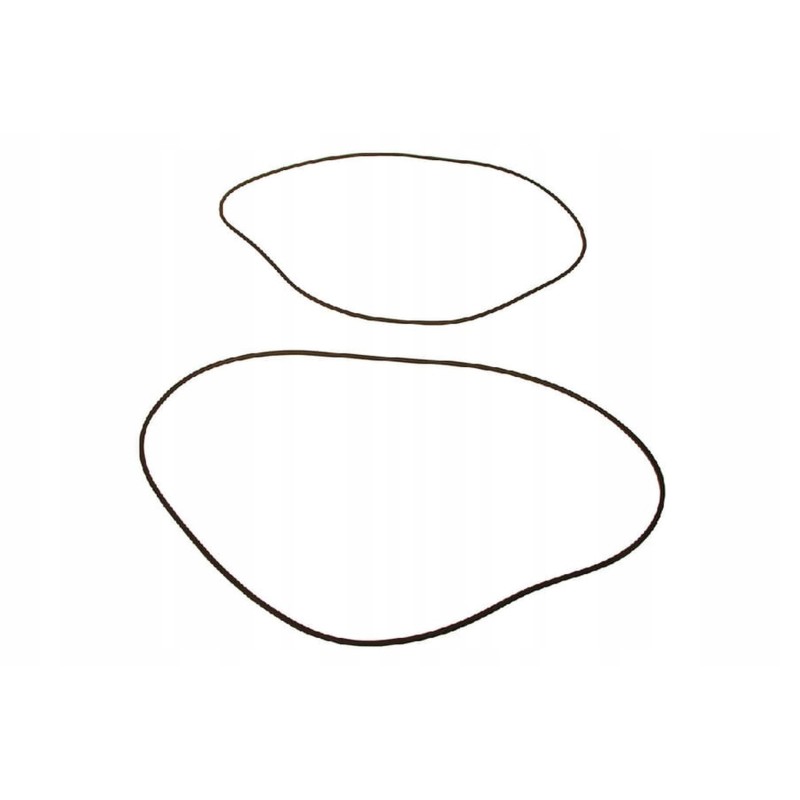 Vpj7355 sealing ring for the pump ring