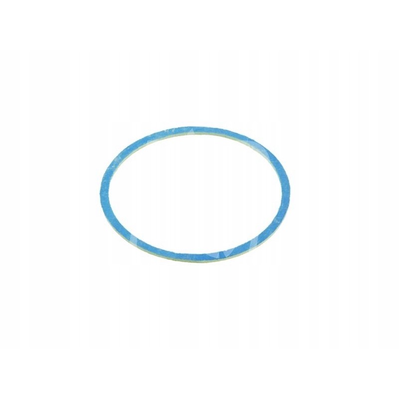 Sealing ring 54x59x1 5mm 239115