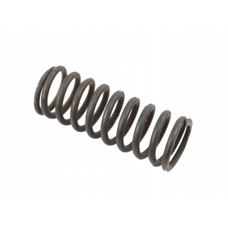 Distributor spring 80413056 50581420