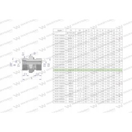 Hydraulic connection bb xge m22x1 5 15l x 3 8