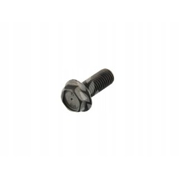 Security screw m12x30mm 239062