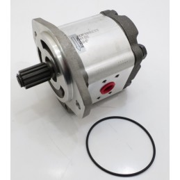 Casappa replacement 019985gd