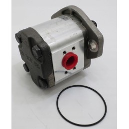 Casappa replacement 019985gd