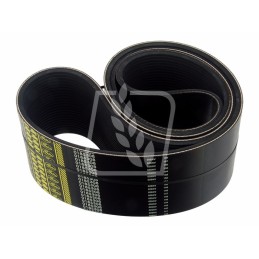 Multi-groove belt 230356m2 24k x 1981