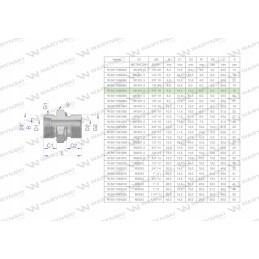 Hydraulic connection bb xge m14x1 5 08l x 1 4