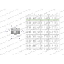 Hydraulic connection bb xge m12x1 5 06l x 3 8