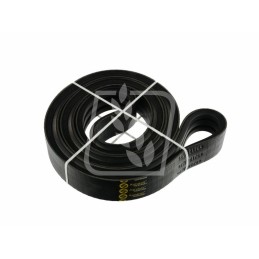 Banding belt 4250121764 3hbx3800 gates