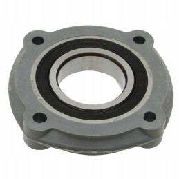 Bearing set case ih 52580396079 granite