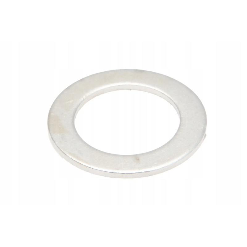 100127699 washer 24 x 2 mm