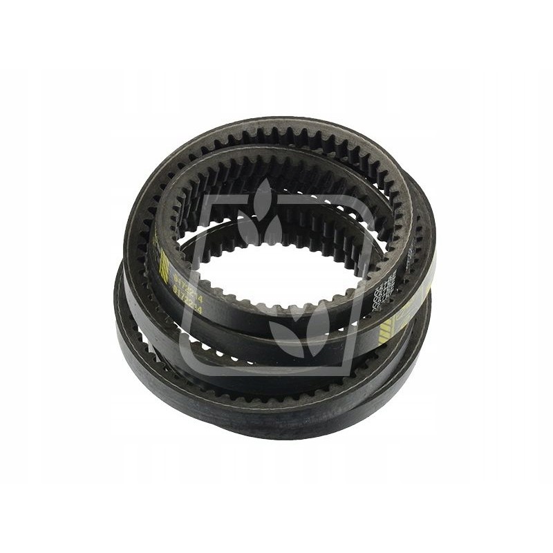 Belt 2 pcs 0172214 0172214