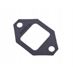 Exhaust pipe gasket c 385 10 pcs