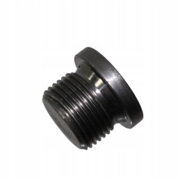 Plug with collar, Allen key, m 20x1, 5 din 908, 1 pc