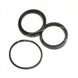 Bison record header cylinder seal set