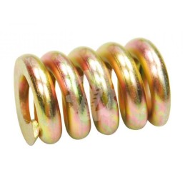 Jag clutch spring 616195