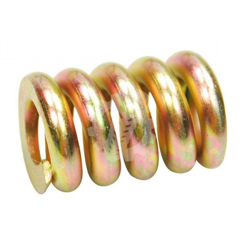 Jag clutch spring 616195