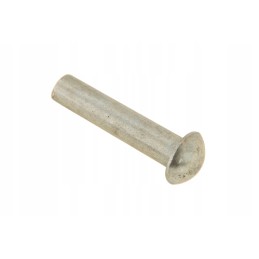 D41306200 rivet