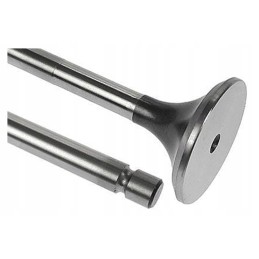 Vpa1029 exhaust valve