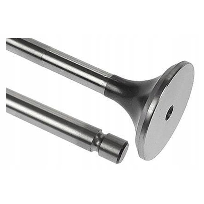 Vpa1029 exhaust valve