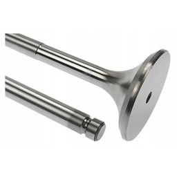 Vpa1024 exhaust valve