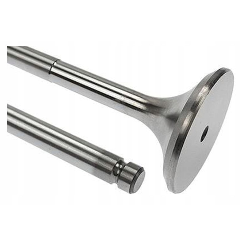 Vpa1024 exhaust valve