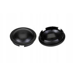 100021689 ladder cap