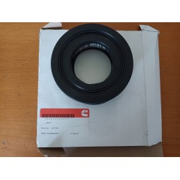 AF251 fleetguard air filter