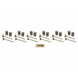 Vpa6056 intake valves and springs set