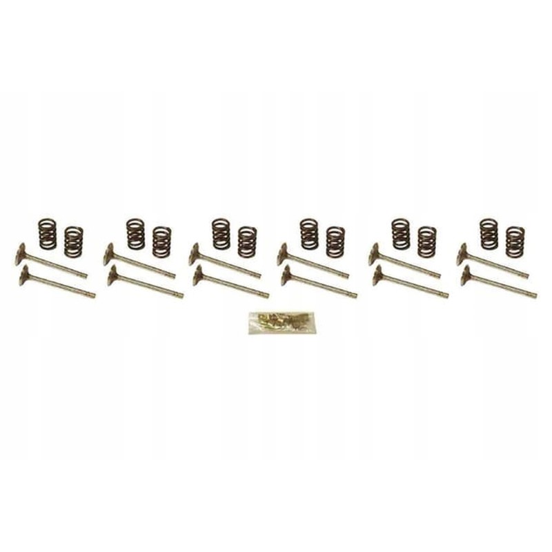 Vpa6056 intake valves and springs set