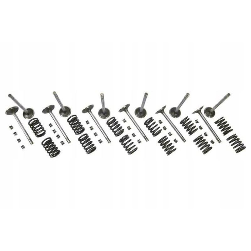 Vpa6055 intake valves and springs set