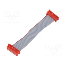 1 pcs x TE Connectivity - 2205063-1 - Cable: ribbon cable with connectors, PIN: 10, Layout: 2x5, plug