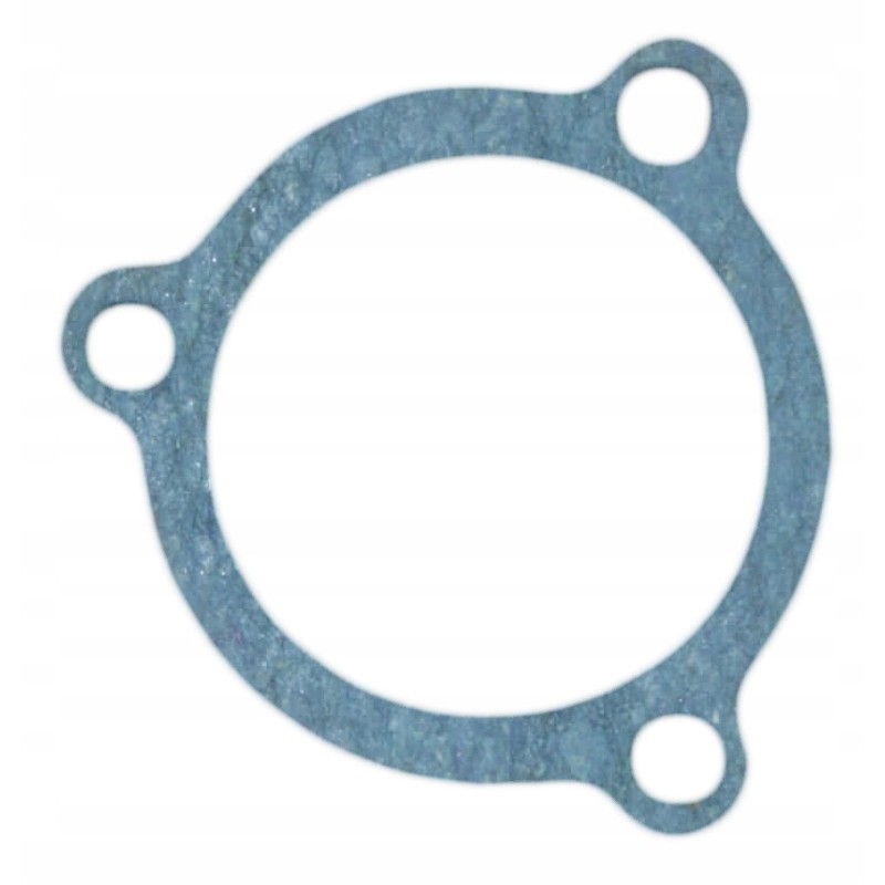 Thermostat housing gasket c 330 c330 ursus
