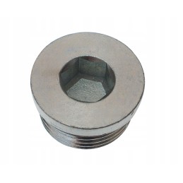 Plug with gasket cat 9s8009