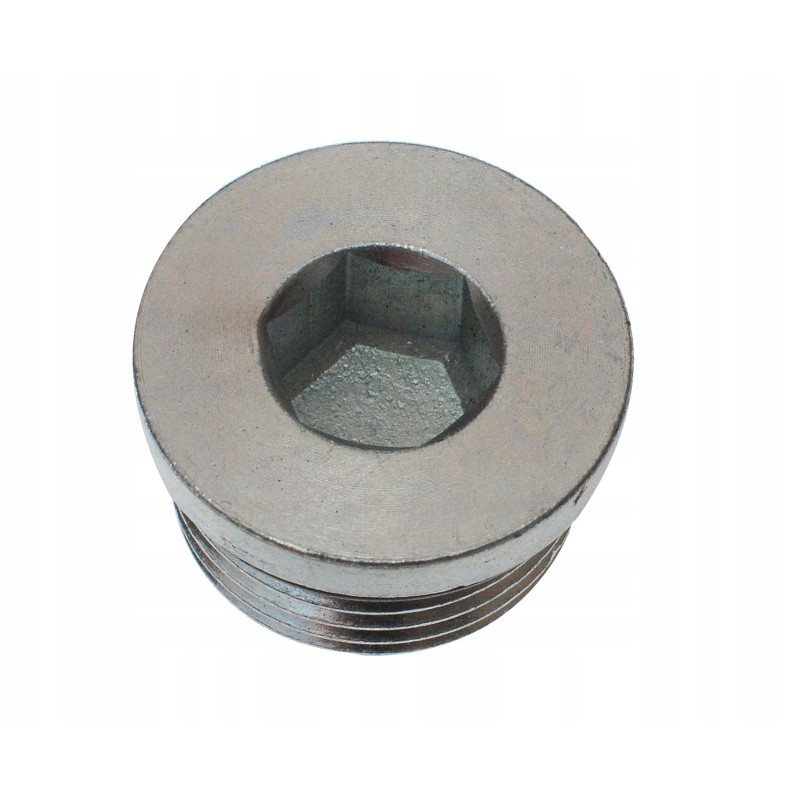 Plug with gasket cat 9s8009