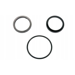 F 163 Bizon header cylinder seal set