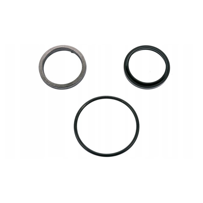 F 163 Bizon header cylinder seal set