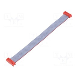 1 pcs x TE Connectivity - 2205063-2 - Cable: ribbon cable with connectors, PIN: 10, Layout: 2x5, plug