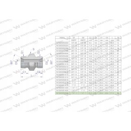 Inch hydraulic connector bb 1 1 4 bsp