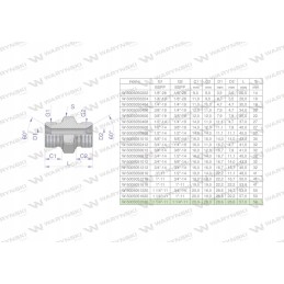 Inch hydraulic connector bb 1 1 4 bsp