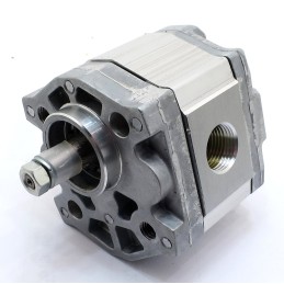 Bosch pump 0510010302